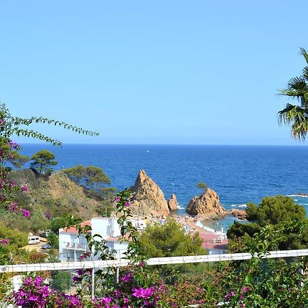 Blanca Paloma - Holiday House Villa Tossa de Mar Room photo