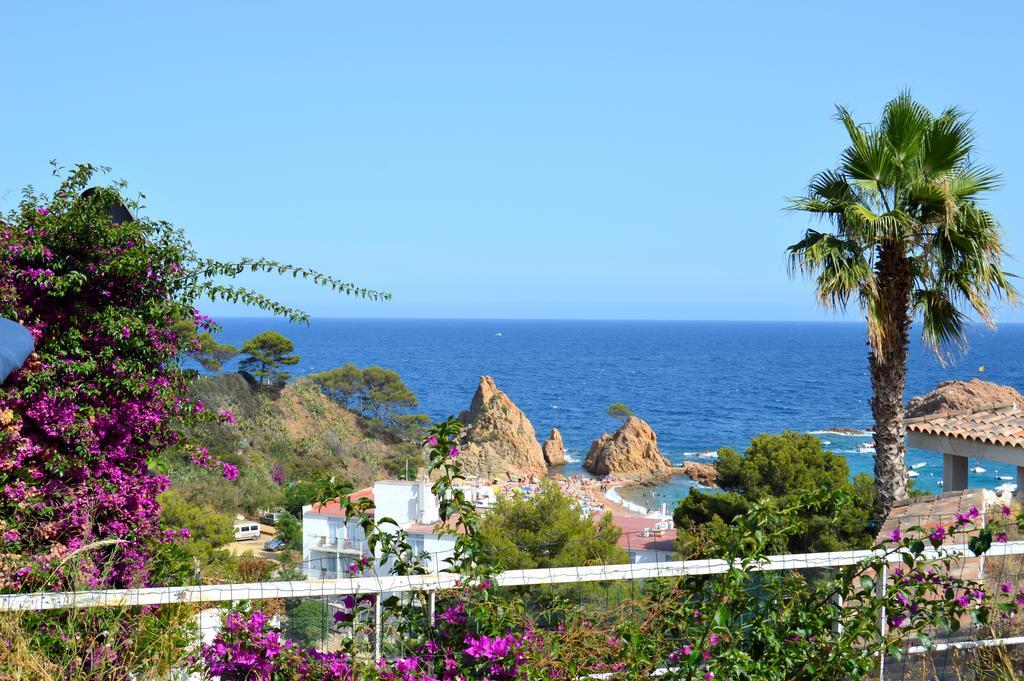 Blanca Paloma - Holiday House Villa Tossa de Mar Room photo